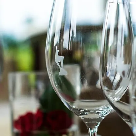 رياضي ومركز صحي بيشلهوف فندق كيتزبوهيل